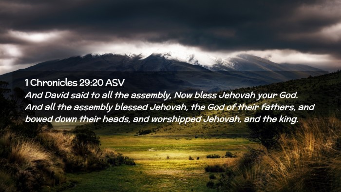 Picture 02 - 1 Chronicles 29:20 ASV Desktop Wallpaper - And David said to all the assembly, Now bless - Desktop Bible Verse Wallpaper