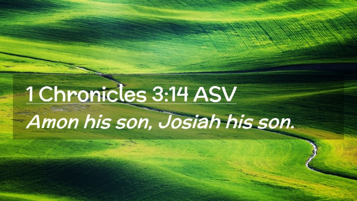 Picture 02 - 1 Chronicles 3:14 ASV Desktop Wallpaper - Amon his son, Josiah his - Desktop Bible Verse Wallpaper