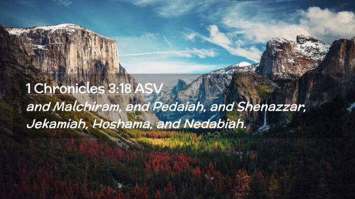 Picture 02 - 1 Chronicles 3:18 ASV Desktop Wallpaper - and Malchiram, and Pedaiah, and Shenazzar, - Desktop Bible Verse Wallpaper