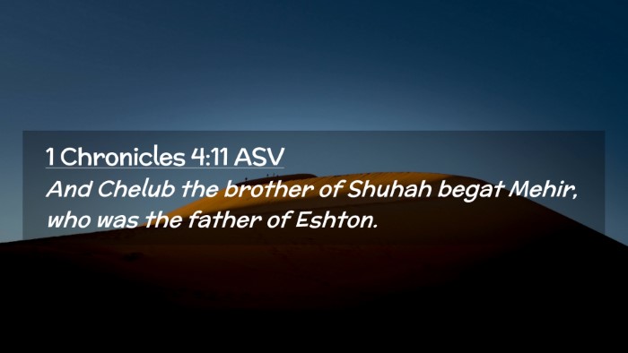 Picture 02 - 1 Chronicles 4:11 ASV Desktop Wallpaper - And Chelub the brother of Shuhah begat Mehir, who - Desktop Bible Verse Wallpaper