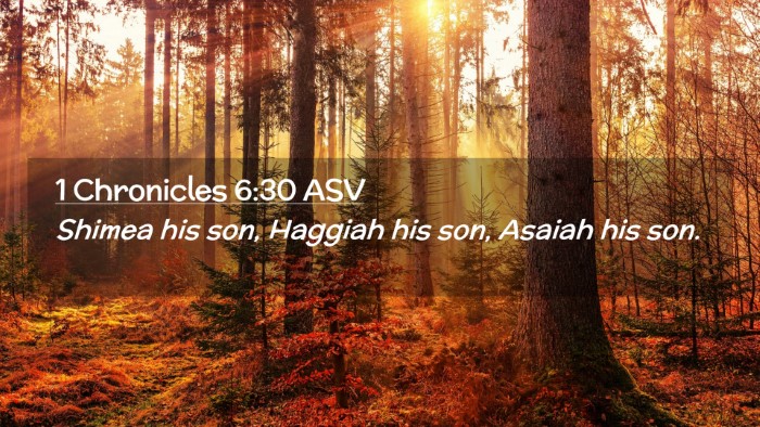 Picture 02 - 1 Chronicles 6:30 ASV Desktop Wallpaper - Shimea his son, Haggiah his son, Asaiah his - Desktop Bible Verse Wallpaper