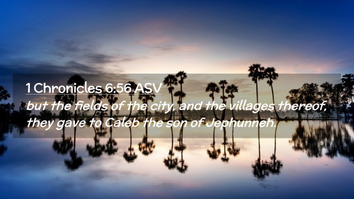 Picture 02 - 1 Chronicles 6:56 ASV Desktop Wallpaper - but the fields of the city, and the villages - Desktop Bible Verse Wallpaper