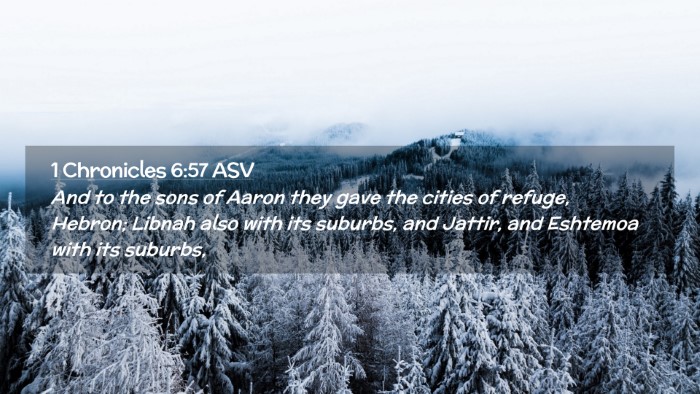Picture 02 - 1 Chronicles 6:57 ASV Desktop Wallpaper - And to the sons of Aaron they gave the cities of - Desktop Bible Verse Wallpaper