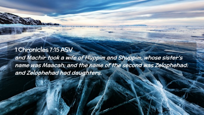 Picture 02 - 1 Chronicles 7:15 ASV Desktop Wallpaper - and Machir took a wife of Huppim and Shuppim, - Desktop Bible Verse Wallpaper