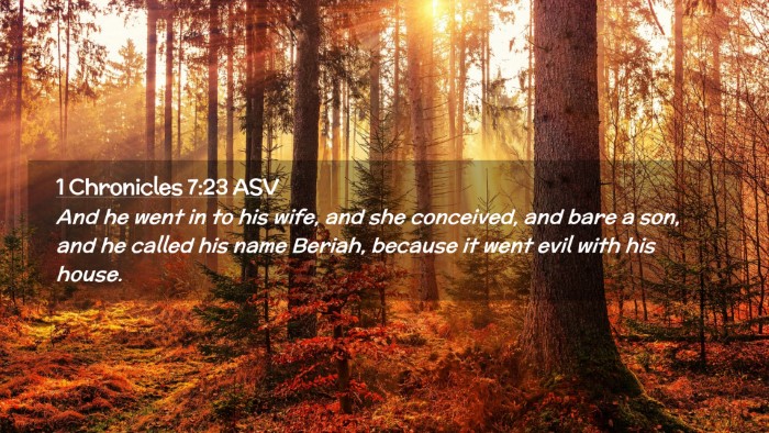 Picture 02 - 1 Chronicles 7:23 ASV Desktop Wallpaper - And he went in to his wife, and she conceived, - Desktop Bible Verse Wallpaper