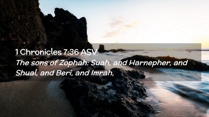 Picture 02 - 1 Chronicles 7:36 ASV Desktop Wallpaper - The sons of Zophah: Suah, and Harnepher, and - Desktop Bible Verse Wallpaper