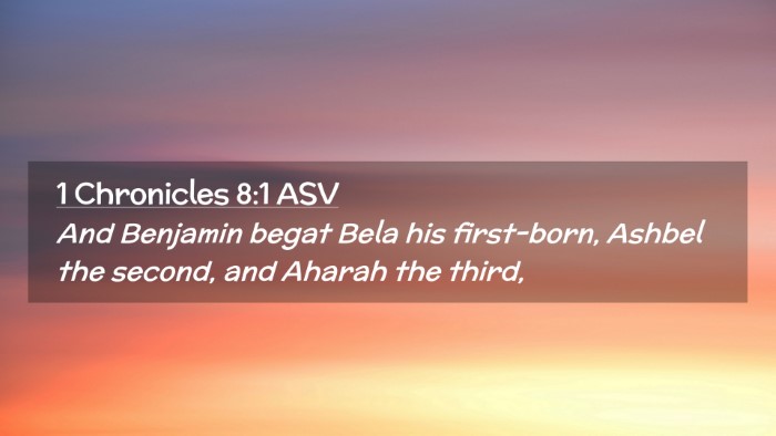 Picture 02 - 1 Chronicles 8:1 ASV Desktop Wallpaper - And Benjamin begat Bela his first-born, Ashbel - Desktop Bible Verse Wallpaper