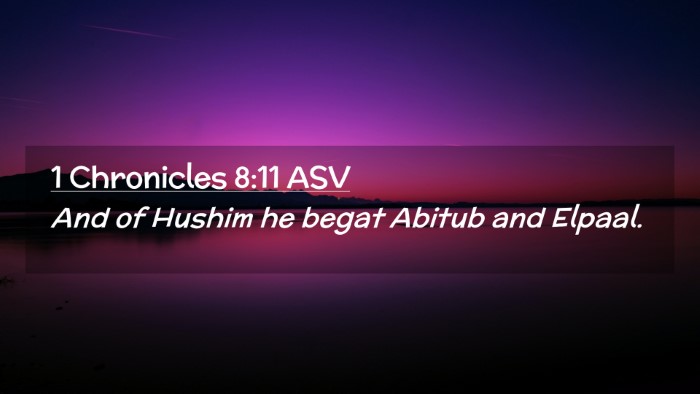 Picture 02 - 1 Chronicles 8:11 ASV Desktop Wallpaper - And of Hushim he begat Abitub and - Desktop Bible Verse Wallpaper