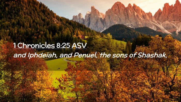 Picture 02 - 1 Chronicles 8:25 ASV Desktop Wallpaper - and Iphdeiah, and Penuel, the sons of - Desktop Bible Verse Wallpaper