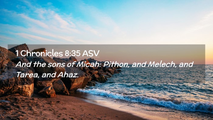 Picture 02 - 1 Chronicles 8:35 ASV Desktop Wallpaper - And the sons of Micah: Pithon, and Melech, and - Desktop Bible Verse Wallpaper
