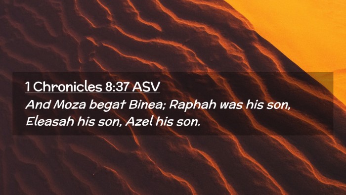 Picture 02 - 1 Chronicles 8:37 ASV Desktop Wallpaper - And Moza begat Binea; Raphah was his son, Eleasah - Desktop Bible Verse Wallpaper