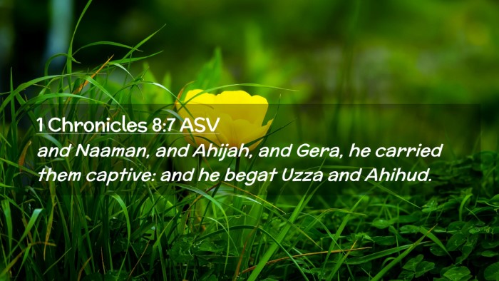 Picture 02 - 1 Chronicles 8:7 ASV Desktop Wallpaper - and Naaman, and Ahijah, and Gera, he carried them - Desktop Bible Verse Wallpaper