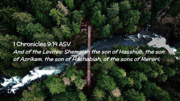 Picture 02 - 1 Chronicles 9:14 ASV Desktop Wallpaper - And of the Levites: Shemaiah the son of Hasshub, - Desktop Bible Verse Wallpaper