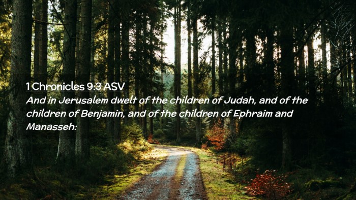 Picture 02 - 1 Chronicles 9:3 ASV Desktop Wallpaper - And in Jerusalem dwelt of the children of Judah, - Desktop Bible Verse Wallpaper