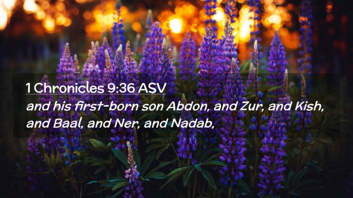 Picture 02 - 1 Chronicles 9:36 ASV Desktop Wallpaper - and his first-born son Abdon, and Zur, and Kish, - Desktop Bible Verse Wallpaper