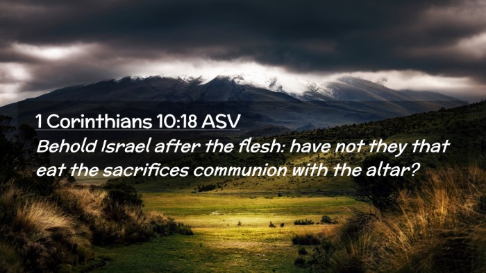 Picture 02 - 1 Corinthians 10:18 ASV Desktop Wallpaper - Behold Israel after the flesh: have not they that - Desktop Bible Verse Wallpaper