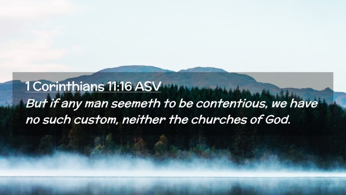 Picture 02 - 1 Corinthians 11:16 ASV Desktop Wallpaper - But if any man seemeth to be contentious, we have - Desktop Bible Verse Wallpaper