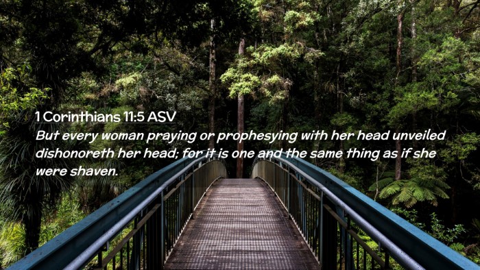 Picture 02 - 1 Corinthians 11:5 ASV Desktop Wallpaper - But every woman praying or prophesying with her - Desktop Bible Verse Wallpaper