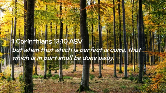 Picture 02 - 1 Corinthians 13:10 ASV Desktop Wallpaper - but when that which is perfect is come, that - Desktop Bible Verse Wallpaper