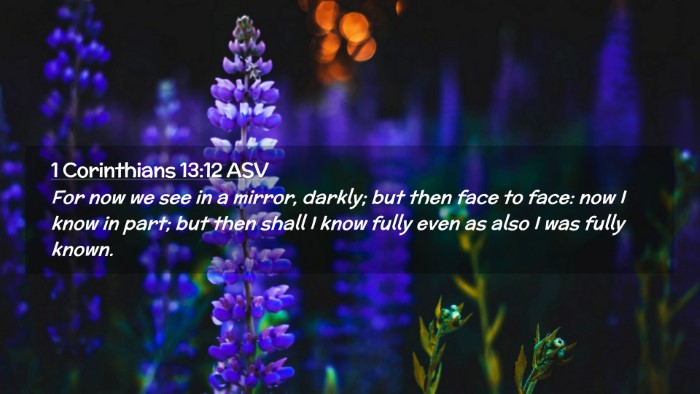 Picture 02 - 1 Corinthians 13:12 ASV Desktop Wallpaper - For now we see in a mirror, darkly; but then face - Desktop Bible Verse Wallpaper