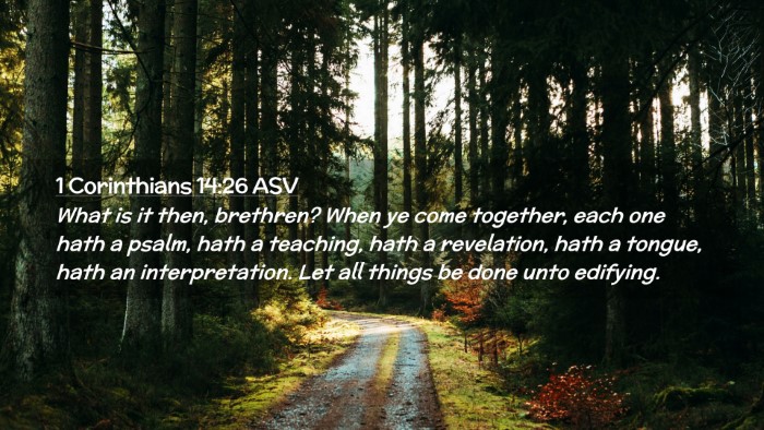 Picture 02 - 1 Corinthians 14:26 ASV Desktop Wallpaper - What is it then, brethren? When ye come together, - Desktop Bible Verse Wallpaper