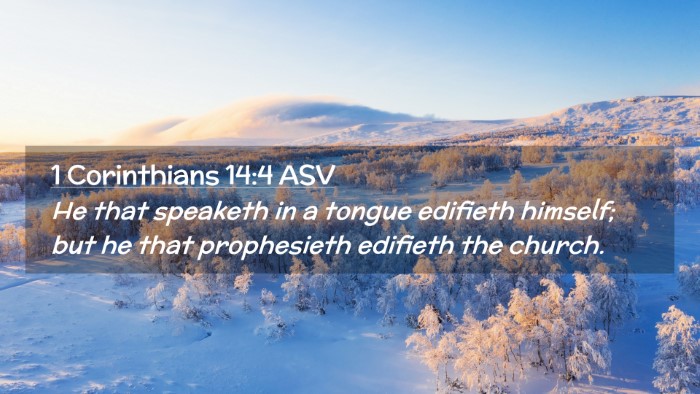 Picture 02 - 1 Corinthians 14:4 ASV Desktop Wallpaper - He that speaketh in a tongue edifieth himself; - Desktop Bible Verse Wallpaper