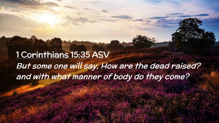 Picture 02 - 1 Corinthians 15:35 ASV Desktop Wallpaper - But some one will say, How are the dead raised? - Desktop Bible Verse Wallpaper