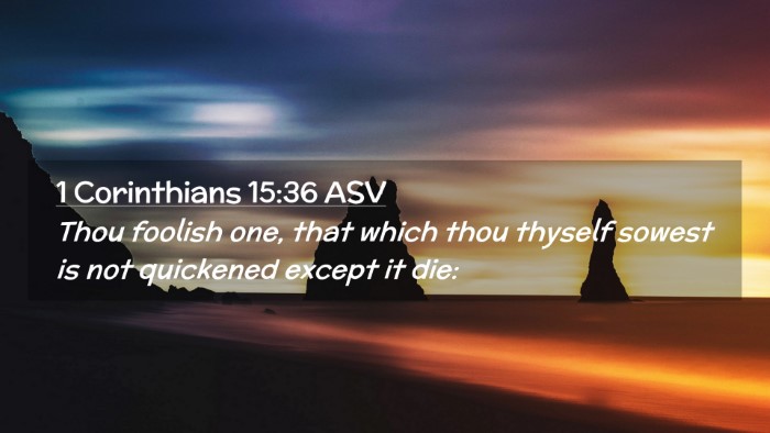 Picture 02 - 1 Corinthians 15:36 ASV Desktop Wallpaper - Thou foolish one, that which thou thyself sowest - Desktop Bible Verse Wallpaper