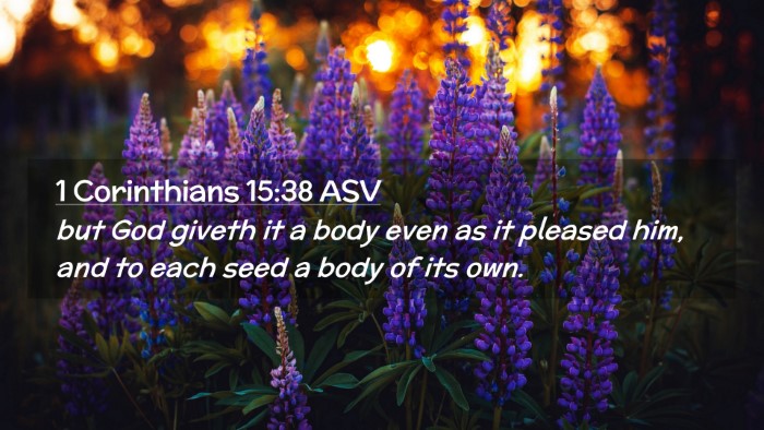 Picture 02 - 1 Corinthians 15:38 ASV Desktop Wallpaper - but God giveth it a body even as it pleased him, - Desktop Bible Verse Wallpaper