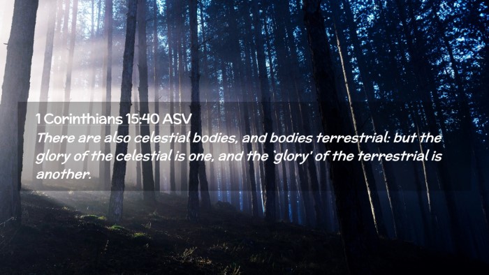Picture 02 - 1 Corinthians 15:40 ASV Desktop Wallpaper - There are also celestial bodies, and bodies - Desktop Bible Verse Wallpaper