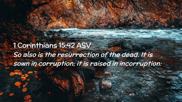 Picture 02 - 1 Corinthians 15:42 ASV Desktop Wallpaper - So also is the resurrection of the dead. It is - Desktop Bible Verse Wallpaper