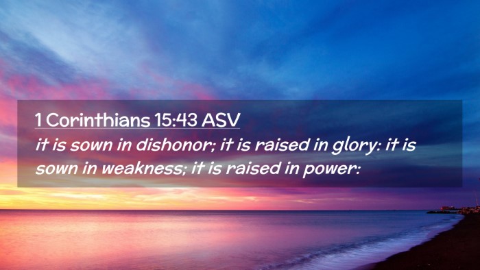 Picture 02 - 1 Corinthians 15:43 ASV Desktop Wallpaper - it is sown in dishonor; it is raised in glory: it - Desktop Bible Verse Wallpaper