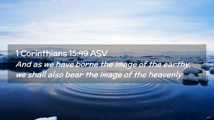 Picture 02 - 1 Corinthians 15:49 ASV Desktop Wallpaper - And as we have borne the image of the earthy, we - Desktop Bible Verse Wallpaper