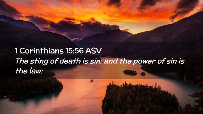 Picture 02 - 1 Corinthians 15:56 ASV Desktop Wallpaper - The sting of death is sin; and the power of sin - Desktop Bible Verse Wallpaper