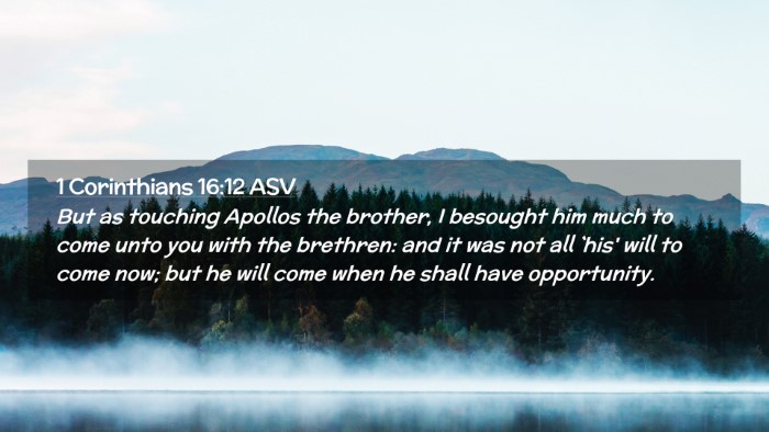 Picture 02 - 1 Corinthians 16:12 ASV Desktop Wallpaper - But as touching Apollos the brother, I besought - Desktop Bible Verse Wallpaper