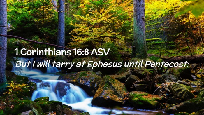 Picture 02 - 1 Corinthians 16:8 ASV Desktop Wallpaper - But I will tarry at Ephesus until - Desktop Bible Verse Wallpaper