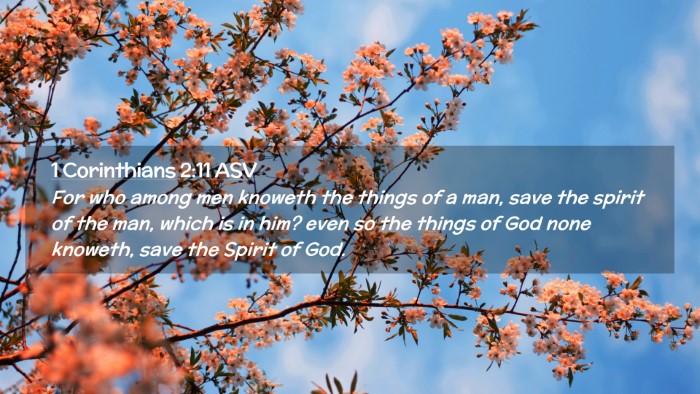 Picture 02 - 1 Corinthians 2:11 ASV Desktop Wallpaper - For who among men knoweth the things of a man, - Desktop Bible Verse Wallpaper