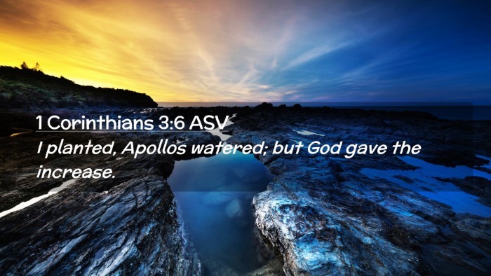 Picture 02 - 1 Corinthians 3:6 ASV Desktop Wallpaper - I planted, Apollos watered; but God gave the - Desktop Bible Verse Wallpaper