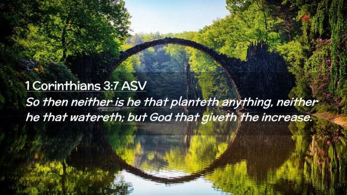 Picture 02 - 1 Corinthians 3:7 ASV Desktop Wallpaper - So then neither is he that planteth anything, - Desktop Bible Verse Wallpaper