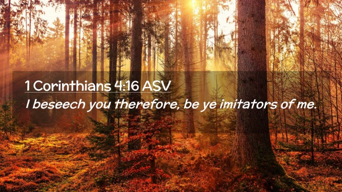 Picture 02 - 1 Corinthians 4:16 ASV Desktop Wallpaper - I beseech you therefore, be ye imitators of - Desktop Bible Verse Wallpaper