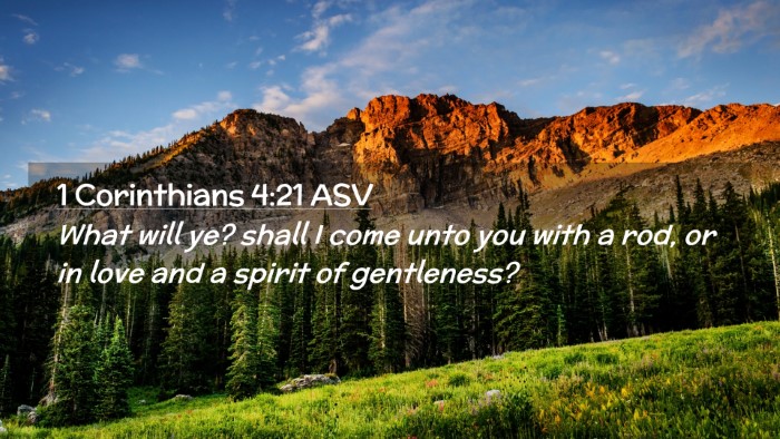 Picture 02 - 1 Corinthians 4:21 ASV Desktop Wallpaper - What will ye? shall I come unto you with a rod, - Desktop Bible Verse Wallpaper