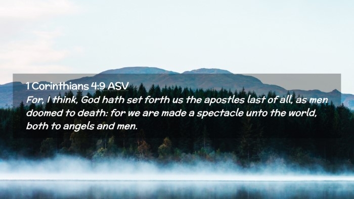 Picture 02 - 1 Corinthians 4:9 ASV Desktop Wallpaper - For, I think, God hath set forth us the apostles - Desktop Bible Verse Wallpaper