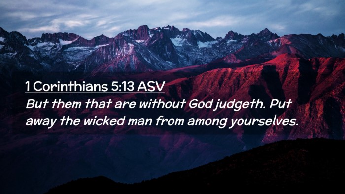 Picture 02 - 1 Corinthians 5:13 ASV Desktop Wallpaper - But them that are without God judgeth. Put away - Desktop Bible Verse Wallpaper