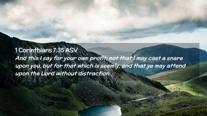 Picture 02 - 1 Corinthians 7:35 ASV Desktop Wallpaper - And this I say for your own profit; not that I - Desktop Bible Verse Wallpaper