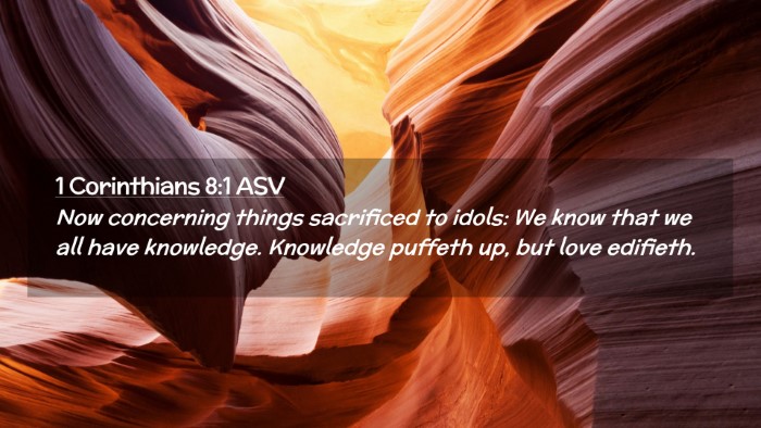Picture 02 - 1 Corinthians 8:1 ASV Desktop Wallpaper - Now concerning things sacrificed to idols: We - Desktop Bible Verse Wallpaper