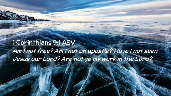 Picture 02 - 1 Corinthians 9:1 ASV Desktop Wallpaper - Am I not free? Am I not an apostle? Have I not - Desktop Bible Verse Wallpaper