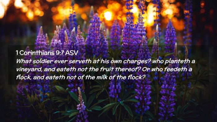 Picture 02 - 1 Corinthians 9:7 ASV Desktop Wallpaper - What soldier ever serveth at his own charges? who - Desktop Bible Verse Wallpaper