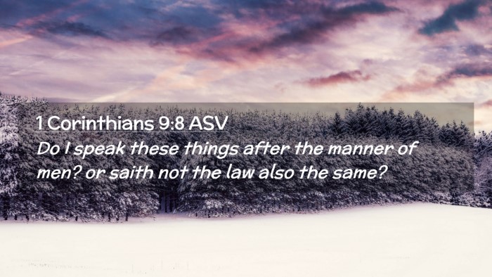 Picture 02 - 1 Corinthians 9:8 ASV Desktop Wallpaper - Do I speak these things after the manner of men? - Desktop Bible Verse Wallpaper