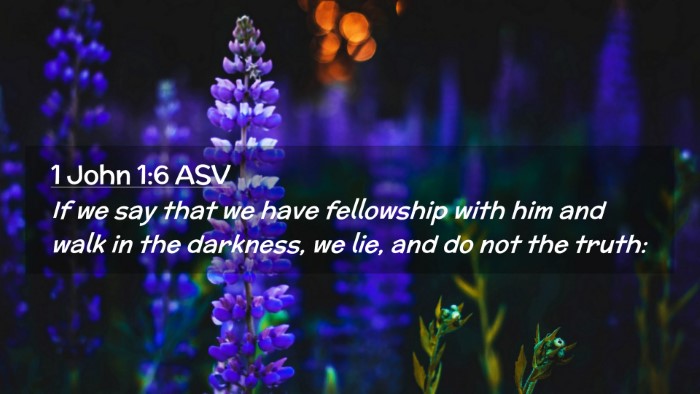 Picture 02 - 1 John 1:6 ASV Desktop Wallpaper - If we say that we have fellowship with him and - Desktop Bible Verse Wallpaper