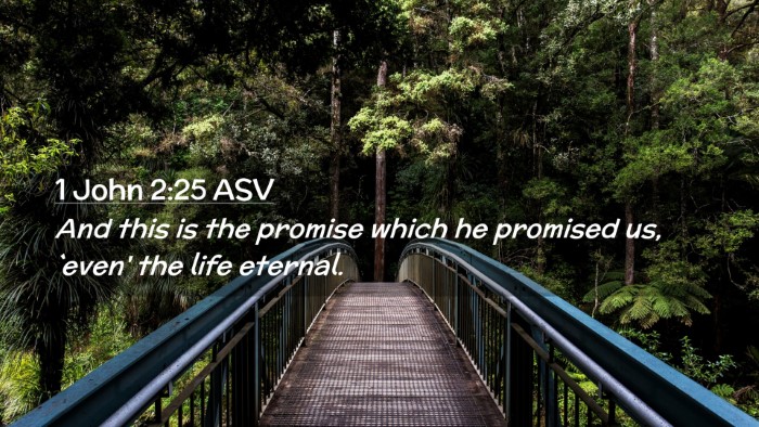 Picture 02 - 1 John 2:25 ASV Desktop Wallpaper - And this is the promise which he promised us, - Desktop Bible Verse Wallpaper